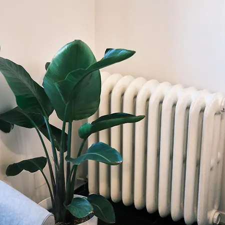 Carolina Trastevere House Апартаменты *